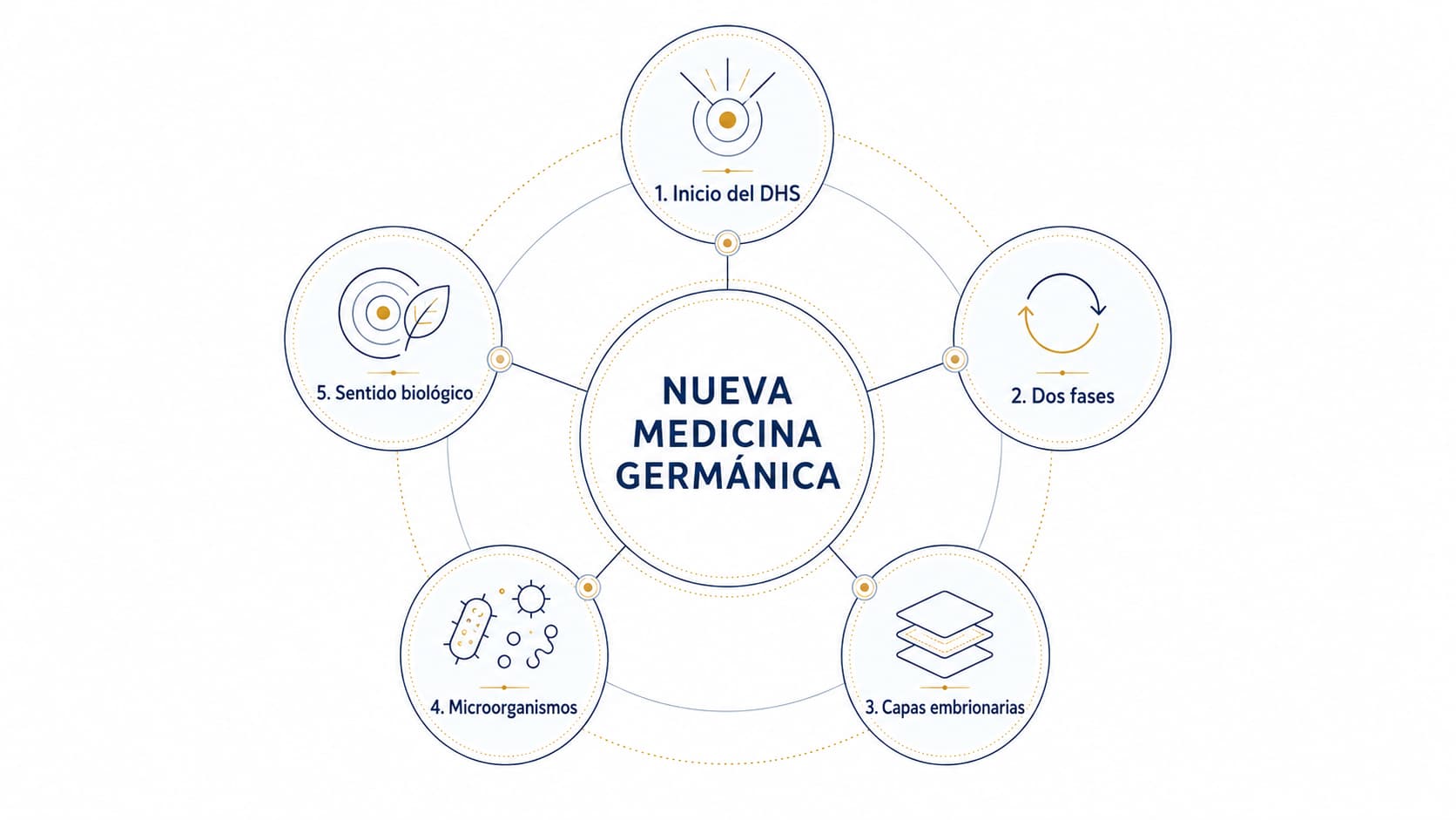 5 Leyes Biológicas de la Nueva Medicina Germánica explicadas Mapa circular de las 5 Leyes Biológicas de la Nueva Medicina Germánica con los conceptos inicio del DHS, dos fases, capas embrionarias, microorganismos y sentido biológico.
