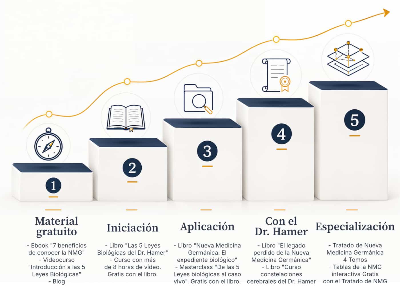 Curso Nueva Medicina Germánica y libro para principiantes Ruta de aprendizaje con curso Nueva Medicina Germánica y libro Nueva Medicina Germánica para principiantes en una escalera de cuatro niveles.