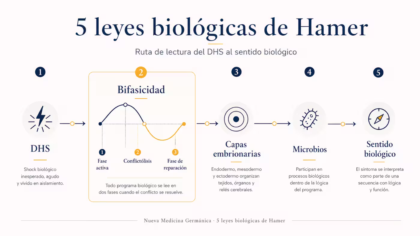 5-leyes-biologicas-hamer-dhs-bifasicidad-sentido-biologico Esquema de las 5 leyes biológicas de Hamer con DHS, bifasicidad, capas embrionarias, microbios y sentido biológico
