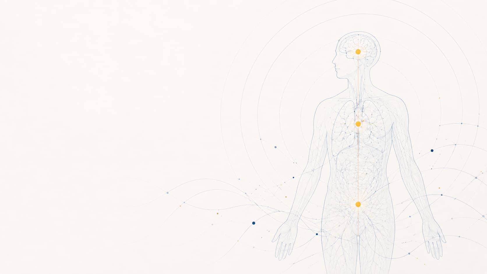 Silueta humana serena con conexiones entre cabeza, cerebro y torso, rodeada por cinco arcos que representan la quinta ley biológica de Hamer