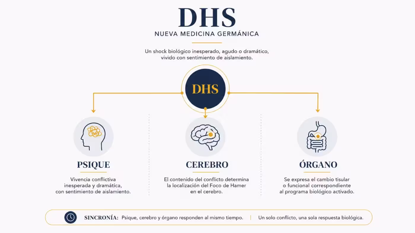dhs-nueva-medicina-germanica-psique-cerebro-organo-2 Infografía del DHS según la Nueva Medicina Germánica con tres áreas conectadas: psique, cerebro y órgano