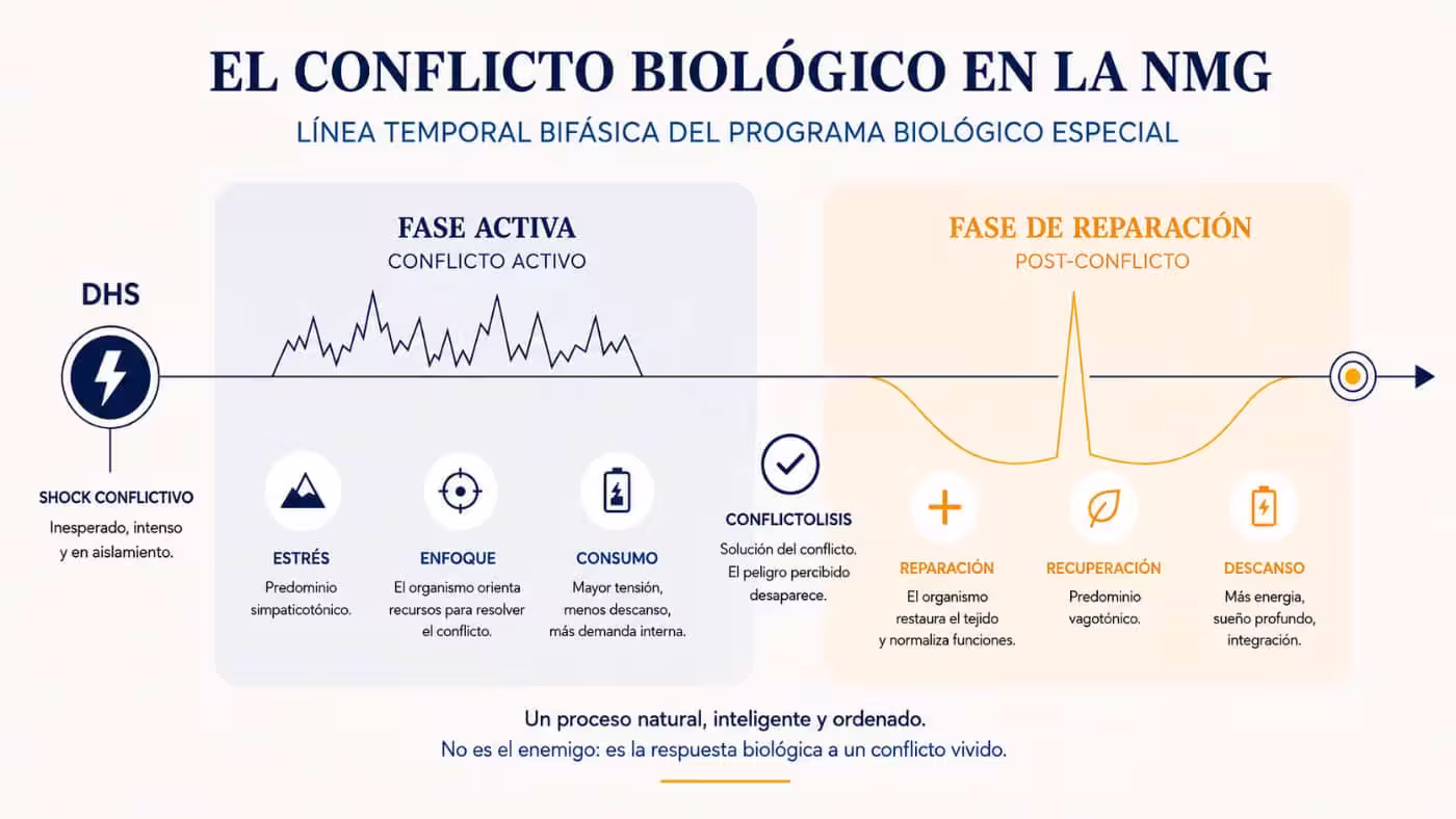 Infografía de las fases del conflicto biológico según la Nueva Medicina Germánica, desde el DHS y la fase activa hasta la conflictólisis y la reparación.